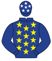 DARK BLUE, yellow stars, dark blue sleeves, dark blue cap, white stars                                                                                