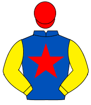 ROYAL BLUE, red star, yellow sleeves, red cap                                                                                                         