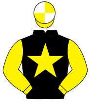 BLACK, yellow star & sleeves, yellow & white quartered cap                                                                                            