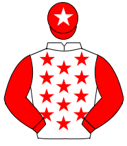 WHITE, red stars, red sleeves, red cap, white star                                                                                                    