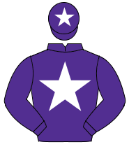 PURPLE, white star, purple cap, white star                                                                                                            