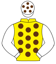 YELLOW, brown spots, white sleeves, white cap, brown spots                                                                                            