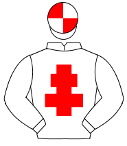 WHITE, red cross of lorraine, white sleeves, quartered cap                                                                                            