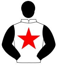 WHITE, red star, black sleeves & cap                                                                                                                  