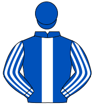 ROYAL BLUE, white panel, striped sleeves, royal blue cap                                                                                              