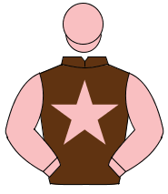 BROWN, pink star, pink sleeves & cap                                                                                                                  