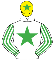 WHITE, emerald green star, striped sleeves, yellow cap, emerald green star                                                                            