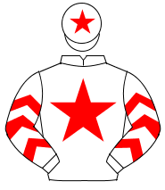 WHITE, red star, red chevrons on sleeves, red star on cap                                                                                             
