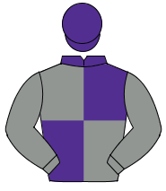 PURPLE & GREY QUARTERED, grey sleeves, purple cap                                                                                                     