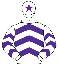 WHITE & PURPLE CHEVRONS, purple star on cap                                                                                                           