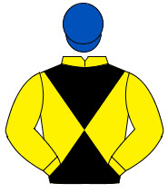 YELLOW & BLACK DIABOLO, yellow sleeves, royal blue cap                                                                                                