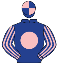 DARK BLUE, pink disc, striped sleeves, quartered cap                                                                                                  