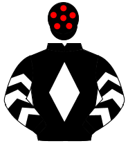 BLACK, white diamond, white chevrons on sleeves, black cap, red spots                                                                                 