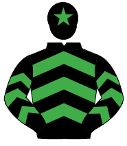 BLACK & EMERALD GREEN CHEVRONS, emerald green star on cap                                                                                             