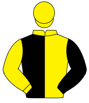 YELLOW & BLACK HALVED, sleeves reversed, yellow cap