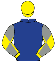 DARK BLUE, yellow sleeves, grey diabolo, yellow cap                                                                                                   