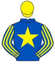 ROYAL BLUE, yellow star, striped sleeves, yellow cap                                                                                                  
