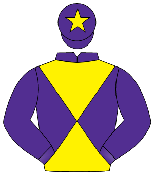 PURPLE & YELLOW DIABOLO, purple sleeves, yellow star on cap                                                                                           