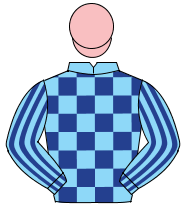 LIGHT BLUE & DARK BLUE CHECK, striped sleeves, pink cap                                                                                               