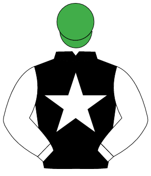 BLACK, white star & sleeves, emerald green cap                                                                                                        