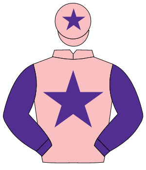 PINK, purple star & sleeves, purple star on cap