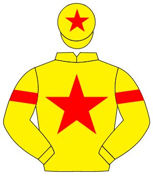 YELLOW, red star, red armlet, red star on cap