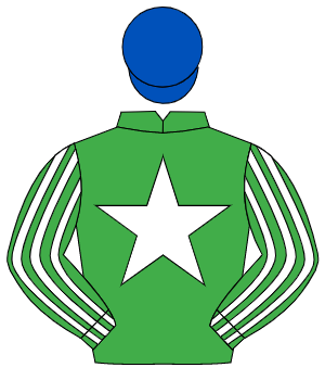 EMERALD GREEN, white star, striped sleeves, royal blue cap                                                                                            