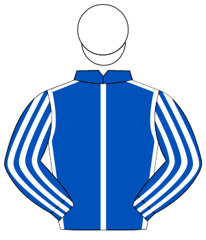 ROYAL BLUE, white seams, striped sleeves, white cap                                                                                                   