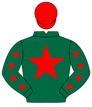 DARK GREEN, red star, red stars on sleeves, red cap