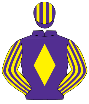 PURPLE, yellow diamond, yellow & purple striped sleeves, purple & yellow striped cap