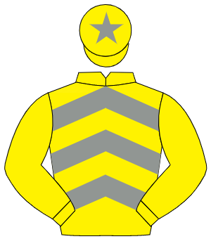 YELLOW & GREY CHEVRONS, yellow sleeves, grey star on cap                                                                                              