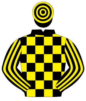 BLACK & YELLOW CHECK, striped sleeves, hooped cap                                                                                                     