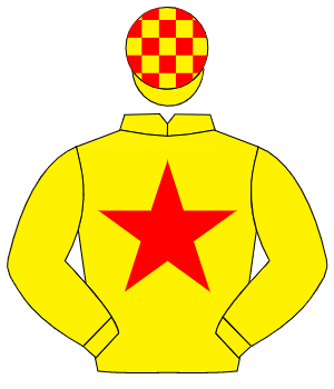 YELLOW, red star, check cap