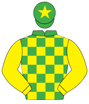 EMERALD GREEN & YELLOW CHECK, yellow sleeves, yellow star on cap                                                                                      
