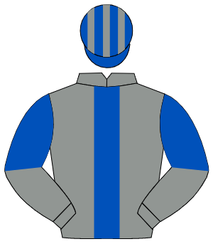 GREY, royal blue panel, halved sleeves, royal blue & grey striped cap                                                                                 