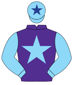 PURPLE, light blue star & sleeves, light blue cap, dark blue star