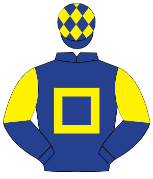 DARK BLUE, yellow hollow box, halved sleeves, dark blue cap, yellow diamonds