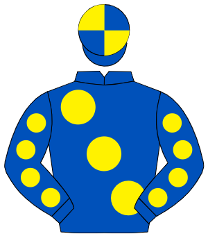 ROYAL BLUE, large yellow spots, yellow spots on sleeves, quartered cap