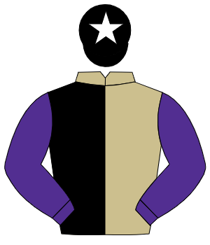 BEIGE & BLACK HALVED, purple sleeves, black cap, white star