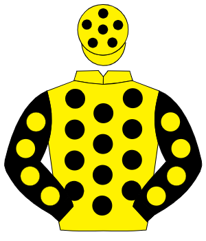 YELLOW, black spots, black sleeves, yellow spots, yellow cap, black spots