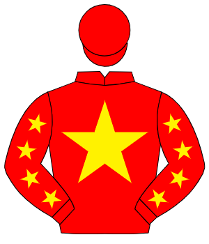 RED, yellow star, yellow stars on sleeves, red cap