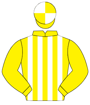YELLOW & WHITE STRIPES, yellow sleeves, quartered cap