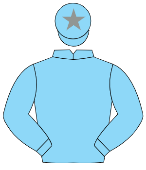 LIGHT BLUE, light blue cap, grey star