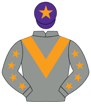 GREY, orange chevron, orange stars on sleeves, purple cap, orange star