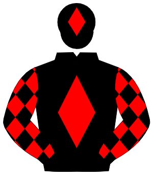 BLACK, red diamond, red diamonds on sleeves, red diamond on cap