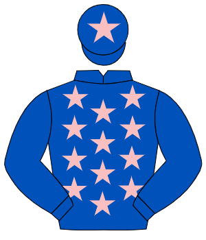 ROYAL BLUE, pink stars, royal blue sleeves, pink star on cap