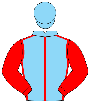 LIGHT BLUE, red seams, red sleeves, light blue cap