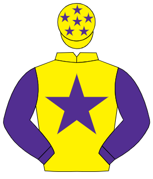 YELLOW, purple star & sleeves, purple stars on cap