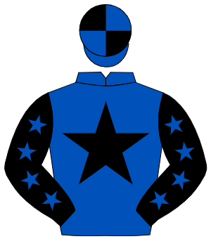 ROYAL BLUE, black star, black sleeves, royal blue stars, royal blue & black quartered cap