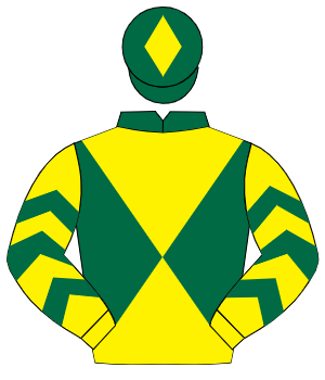 DARK GREEN & YELLOW DIABOLO, yellow sleeves, dark green chevrons, dark green cap, yellow diamond